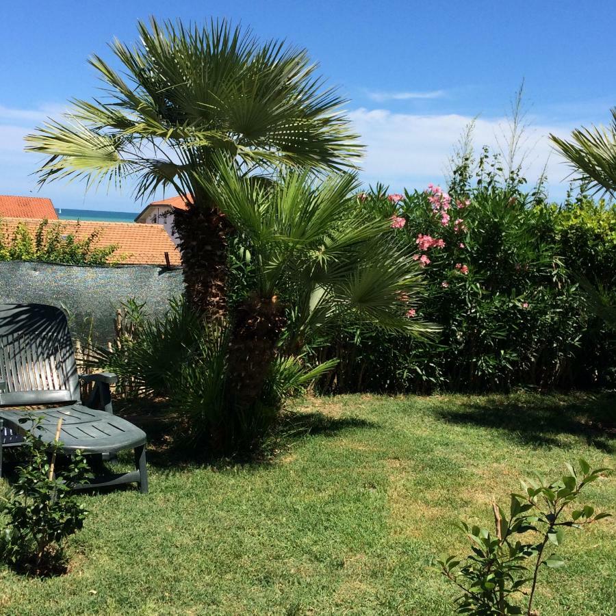 Casa "La Conchiglia" Acomodação com café da manhã Civitanova Marche Exterior foto